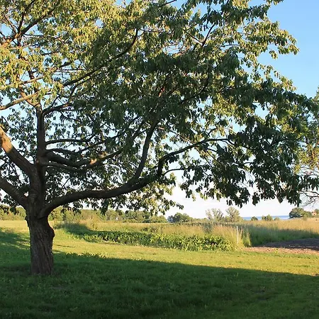 Wreechen25